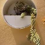 アパート Eco House Golfinhos