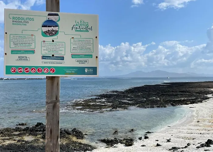 Eco House Golfinhos Corralejo